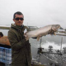 浜名湖フィッシングリゾート 釣果