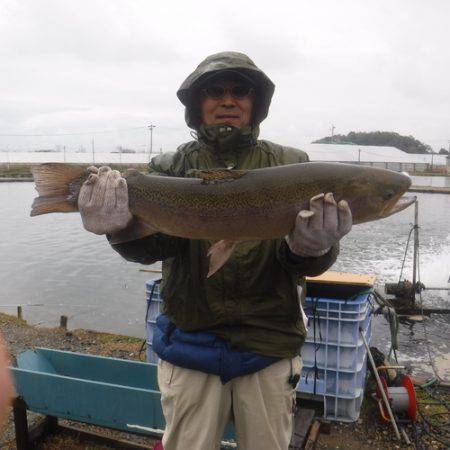 浜名湖フィッシングリゾート 釣果