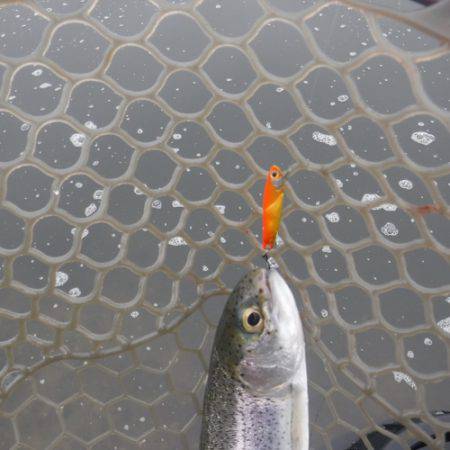 浜名湖フィッシングリゾート 釣果