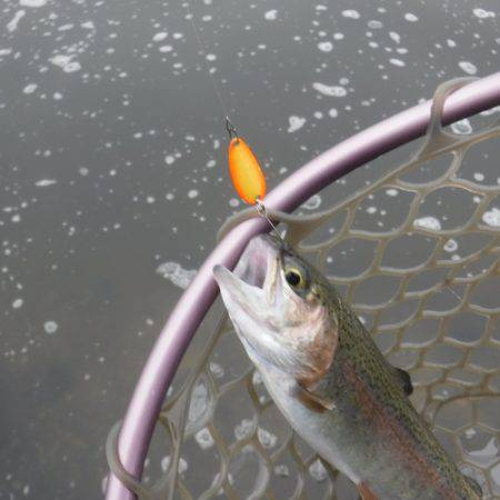 浜名湖フィッシングリゾート 釣果