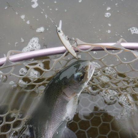 浜名湖フィッシングリゾート 釣果