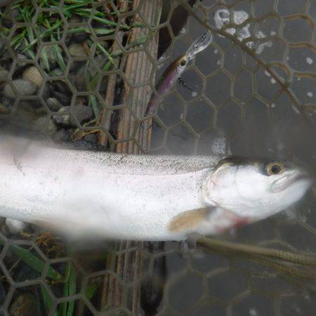 浜名湖フィッシングリゾート 釣果
