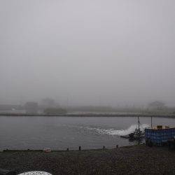 浜名湖フィッシングリゾート 釣果