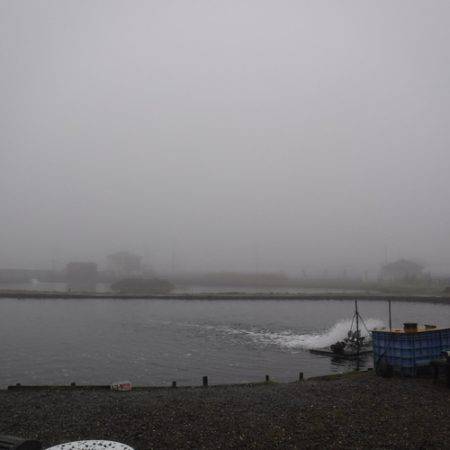 浜名湖フィッシングリゾート 釣果