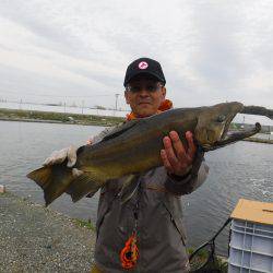 浜名湖フィッシングリゾート 釣果