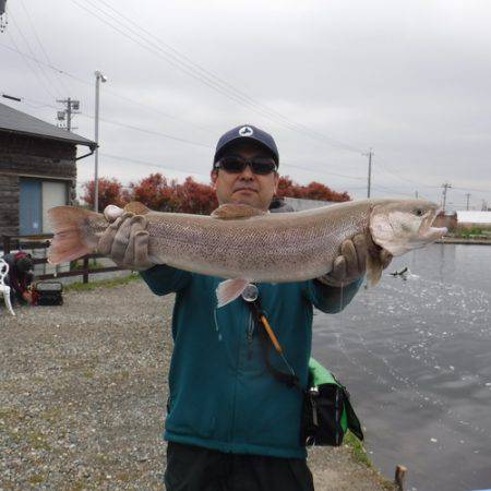 浜名湖フィッシングリゾート 釣果