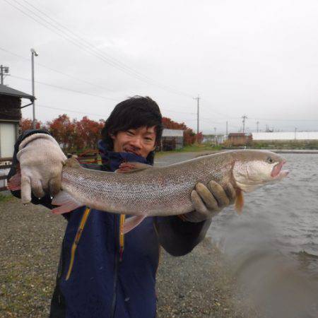 浜名湖フィッシングリゾート 釣果