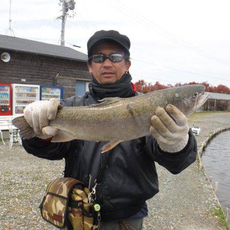 浜名湖フィッシングリゾート 釣果