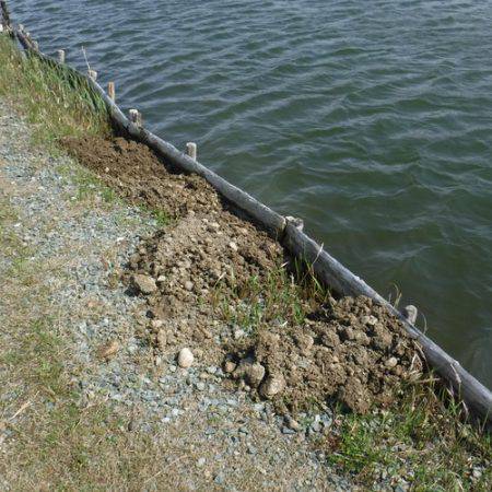 浜名湖フィッシングリゾート 釣果