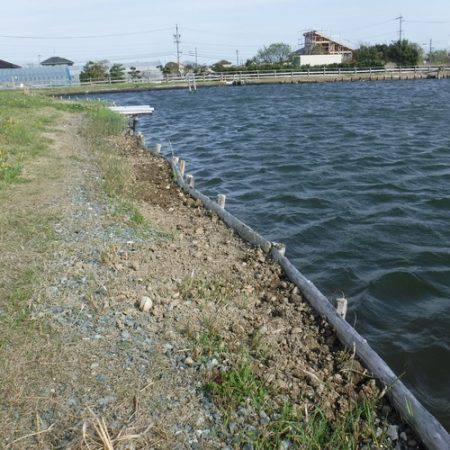 浜名湖フィッシングリゾート 釣果