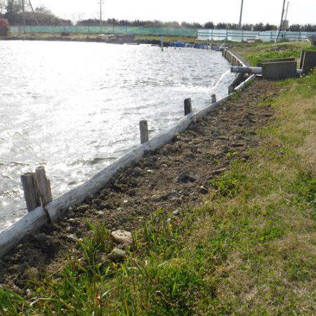 浜名湖フィッシングリゾート 釣果