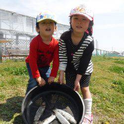 浜名湖フィッシングリゾート 釣果