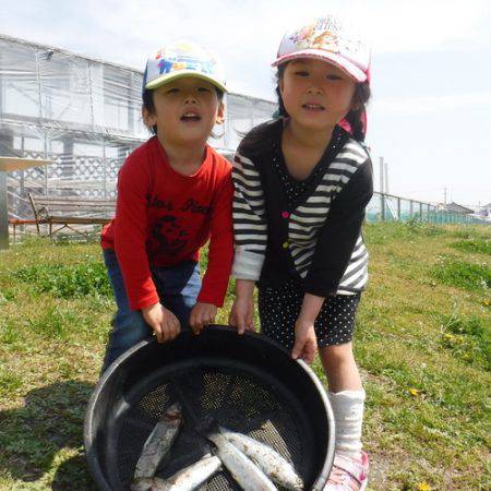 浜名湖フィッシングリゾート 釣果