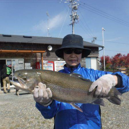 浜名湖フィッシングリゾート 釣果