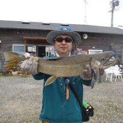 浜名湖フィッシングリゾート 釣果