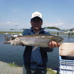 浜名湖フィッシングリゾート 釣果