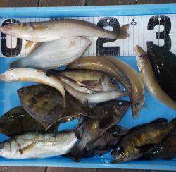 宮川丸 釣果