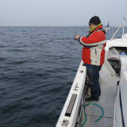 Fisherman Dreams DI 釣果