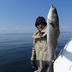 Fisherman Dreams DI 釣果