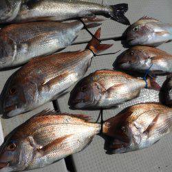 Fisherman Dreams DI 釣果