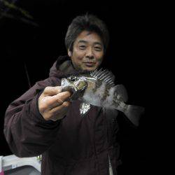 Fisherman Dreams DI 釣果