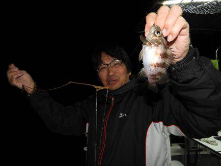 Fisherman Dreams DI 釣果