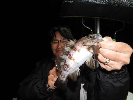 Fisherman Dreams DI 釣…