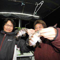 Fisherman Dreams DI 釣果