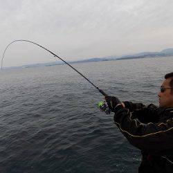 フィッシングボート空風(そらかぜ) 釣果