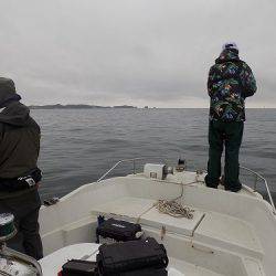 フィッシングボート空風(そらかぜ) 釣果