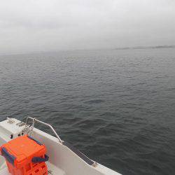 フィッシングボート空風(そらかぜ) 釣果