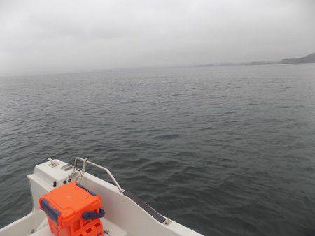 フィッシングボート空風(そらかぜ) 釣果