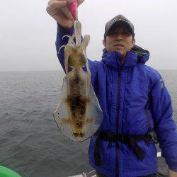 フィッシングボート空風(そらかぜ) 釣果