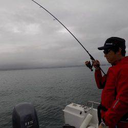 フィッシングボート空風(そらかぜ) 釣果