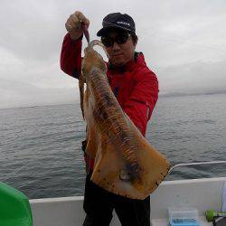 フィッシングボート空風(そらかぜ) 釣果