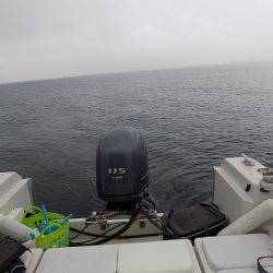 フィッシングボート空風(そらかぜ) 釣果