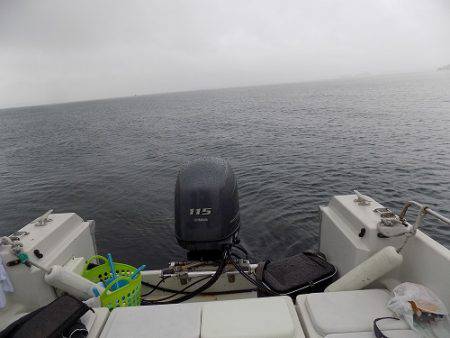 フィッシングボート空風(そらかぜ) 釣果