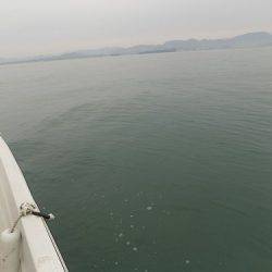 フィッシングボート空風(そらかぜ) 釣果