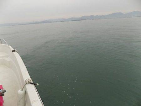フィッシングボート空風(そらかぜ) 釣果
