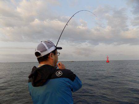 フィッシングボート空風(そらかぜ) 釣果