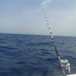 Fisherman Dreams DI 釣果