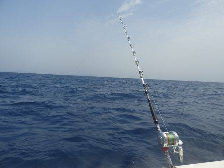 Fisherman Dreams DI 釣果