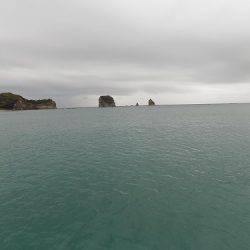 フィッシングボート空風(そらかぜ) 釣果