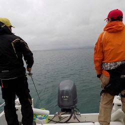 フィッシングボート空風(そらかぜ) 釣果