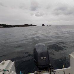 フィッシングボート空風(そらかぜ) 釣果