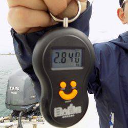 フィッシングボート空風(そらかぜ) 釣果