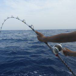 Fisherman Dreams DI 釣果