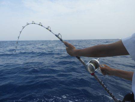 Fisherman Dreams DI 釣果