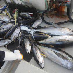 Fisherman Dreams DI 釣果