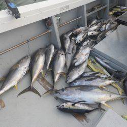 Fisherman Dreams DI 釣果